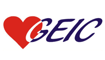 GEIC 2008